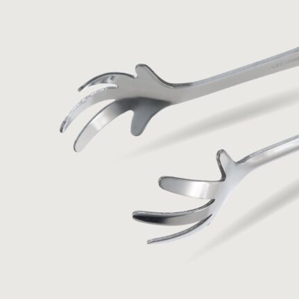 Japanese Claw Ice Tong