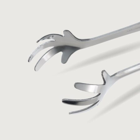 Japanese Claw Ice Tong