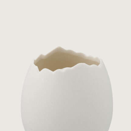 Ostrich Egg