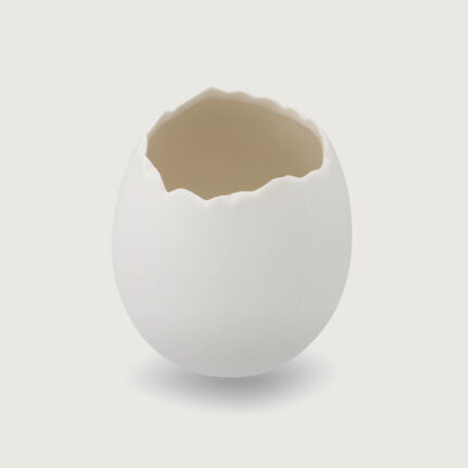 Ostrich Egg